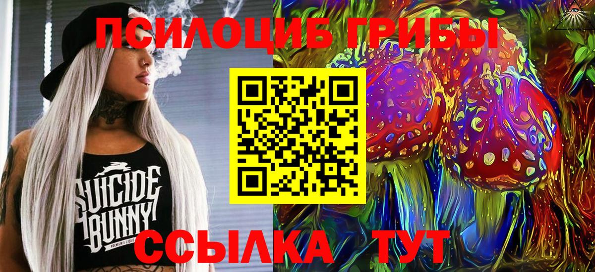Новоуральск  Галлюциногенные грибы GOLDEN TEACHER  Галлюциногенные грибы Psilocybe  закладка  Вход с VPN 